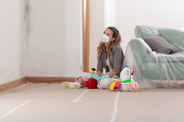 Reliable Mold Remediation contractor in Lakewood, NY by 24 Hour Mold Removal
